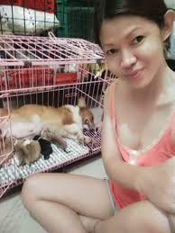 Whelping service 🐶 San Mateo rizal Ztatus: Queen abibas הובצן ROS อจ