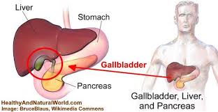 Your gallbladder sits under your gallbladder is a lot like your appendix. Pin On Healthy Natural World