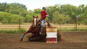 Instructions 1 educate yourself by watching videos available on the internet. Barrel Racing For Beginners The Basics