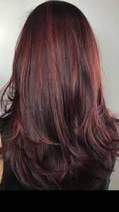 Pin By Emily C On Hair Fall Hair Color For Brunettes Red Highlights In Brown Hair Mahogany Hair Highlights
