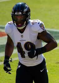 Baltimore ravens full color logo on the dartboard cabinets doors. Chris Board Wikipedia