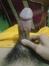 xHamster