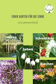 Ein Garten Fur Die Sinne In 2020 Pflanzen Garten Naturnaher Garten