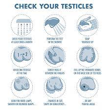 Johnny rapid and the team from border2border entertainment… Testicles Self Exam Testicle Cancer Symptoms And Monthly Examination Infographics Vector Icon Set I Illustration For Flyers Brochures Web Resources Health Centers Ù…ÙˆÙ‚Ø¹ ØªØµÙ…ÙŠÙ…ÙŠ