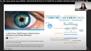 Moleküler biyoloji ve genetik ne is yapar. Molekuler Biyoloji Ve Genetik Bolumu
