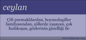 Sor nedir rüya tarih i̇sim bitki sağlık. Ceylan Kelimesinin Anlami Nedir Ceylan Ne Demektir
