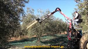 Elaiorabdistiko Olive Picker Machines A Recolter Des Olives 03 Hd Youtube