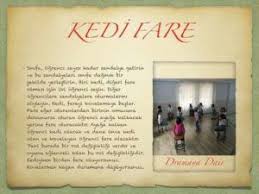 Kedi Fare Drama Ilham Verici Sozler Ogretim