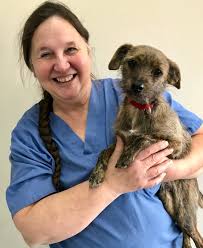 The professional and courteous staff at all pets veterinary clinic seeks to provide the best possible medical care, surgical care and dental care for their more. Contact Our Middleton Wi Veterinarians At All Pets Veterinary Clinic