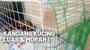 Membuat sendiri (homemade) makanan kucing persia di rumah, hal ini tentu lebih murah/hemat dan sehat dibandingkan membeli pakan komersial yang biasa kita bel. Kandang Kucing Luas Dan Murah Modal 100 Ribuan Youtube