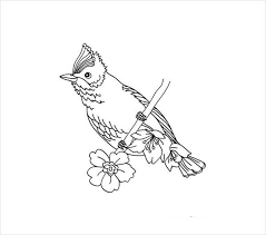 Birds coloring pages for kids. Free 20 Bird Coloring Pages In Ai