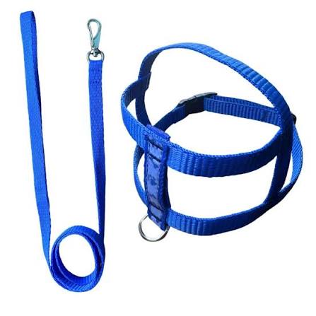 CRIATIVA PET - PEITORAL E GUIA PORTE MEDIO TAM: G