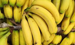 Bananas Are On The Brink Of Extinction As Devastating