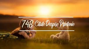 Pe pagina noastra puteti gasi poze cu mesaje de viata atat pentru persoana iubita cat si pentru alte ocazii din viata voastra alaturi de prieteni sau familie. 748 Cele Mai Frumoase Citate Despre Prietenie