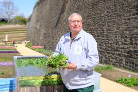 Gärtnern macht glücklich und dabei trainieren patienten beim pflanzen setzen und umgraben ihre kraft und das gedächtnis beim merken der arbeitsabläufe und der namen der blumen. Superfood Mit Erfurter Historie Brunnenkresse Ist Eine Besondere Pflanze Die In Presseportal
