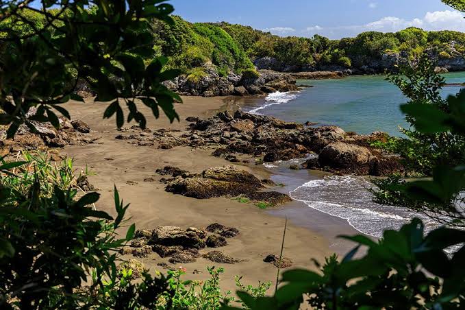 Es posible salvar isla Guafo? Piden declarar un Espacio Costero Marino de  Pueblos Originarios para proteger este lugar | Ladera Sur