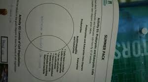 Lysosome contains digestive enzymes that destroy damaged organelles and invaders. What Is A Difference Between Prokaryotic And Eukaryotic Cells Brainly