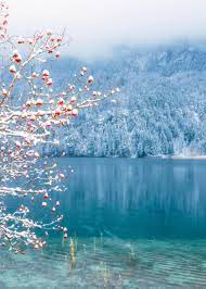 Happy New Year Weissensee Southern Germany Oc 3456x4839 Nature Photography Landscape Picture In 2021 Beautiful Landscape Photography Beautiful Landscapes Germany