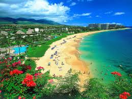 We did not find results for: Hawaii Backgrounds Group 79