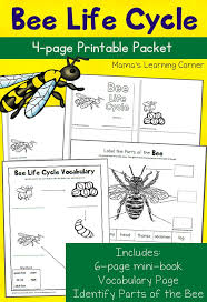 Bee Life Cycle Worksheets Bee Life Cycle Bee Activities Life Cycles