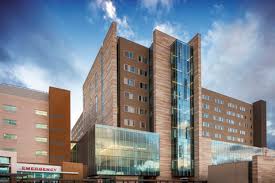 Such a visit is often unfair to the animal and potentially harmful to its health. Banner University Medical Center In Tucson Az Banner Health