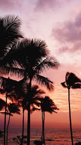 Sunset trees palm palm trees trees sunset nature landscape tree travel world beach christmas island. Download These Scenic Hawaii Wallpapers For Your Phone Hawaii Magazine