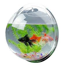Everyone who has seen my vase has wanted one and they are super simple to make! Mirror Face Style Acrylic Round Wall Mounted Hanging Fish Bowl Aquarium Tank For Gold Fish And Beta Fish Plant Vase Home Decoration Pot 15cm Diameter Buy Online In Nicaragua At Desertcart Ni Productid