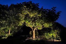 Led tree/wall mount low voltage landscape phoenix bronze down light. Put Your Garden In The Spotlight With Outdoor Spots Dmlights Blog