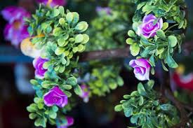 Hoping to make a floral centrepiece for your next party without breaking the bank? How To Clean Fake Plants Keep Them Looking Real Homeselfe