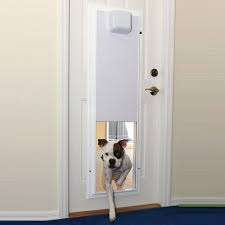 Hale pet doors have various installation applications. Hale Pet Door In Glass Conversion Premium Pet Doors