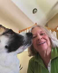 Cali the Anatolian Shepherd Dog