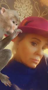 Hello everyone here is my cheeky littl monkey to cheer you all up stuff the  haters everyone else is beautiful 🤩 stay safe and thankyou all for helping  us all throughout the last year I love you all be ...