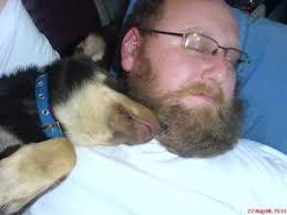 ALL ABOUT WORKING KELPIES