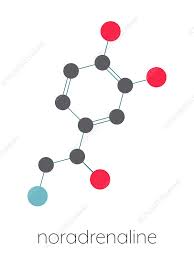 Image result for Norepinephrine