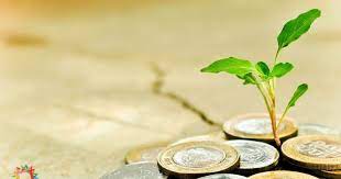 Siapa Yang Berhak Menerima Zakat Zakat Atau Sedekah Ini Menumbuhkan