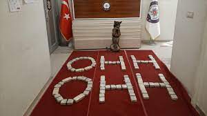 Bakan soylu hdp'lilere adeta meclisi dar etti. Turkish Police Wear Shirts Referencing Suleyman Soylu S Take That Pkk Quote In Southeast Turkey