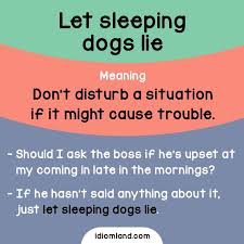 Idiom Let Sleeping Dogs Lie Meaning Don T Disturb A Situation If It Might Cause Trouble English Idioms English Vocabulary Words English Phrases