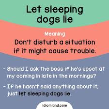 A phrase used to get someone to join you on an adventure or event. Idiom Let Sleeping Dogs Lie Meaning Don T Disturb A Situation If It Might Cause Trouble English Vocabulary Words English Idioms English Phrases