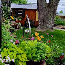 Elisha Shorter (@cloverdale.cottage) • Fotos y videos de Instagram