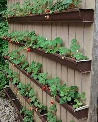 интересные идеи для сада и огорода своими руками фото Interesnye Idei Dlya Sada I Ogoroda 0 Diy Raised Garden Raised Garden Beds Diy Vegetable Garden Design