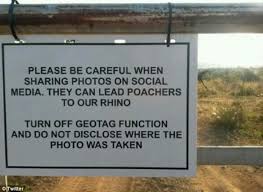 Ecology cash for cars opening hours. Machine Wilderness A World Of Ecological Robotics We Make Money Not Art