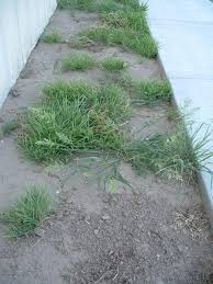 Such as a gutter downspout, aimed at the sidewalk. Good Bad Or Design By The Architect Fine Homebuilding