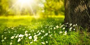 Les tendances du printemps présentées par les femmes caroll. Date Du Debut Du Printemps 2021 Hausse Du Thermometre Et Debut Des Beaux Jours