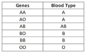 Understanding Genetics