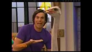 He's very concerned that spencer is too irresponsible and wacky to be carly's guardian. This Ostrich Thinks I Am A Lady Youtube