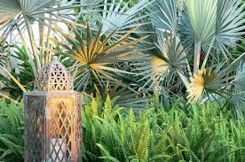 Large Tropical Modern Garden Highland Landscaping Archinspire Tropical Garden Design Tropical Garden Plants Tropical Garden