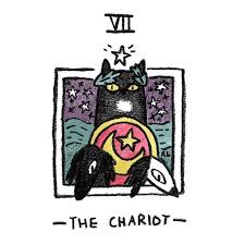 Number 7 Of I Think 21 A Third Of The Way Through Illustration Art Cat Catart Tarot Chariot Star Thech Small Drawings Cat Art Illustration Sketches
