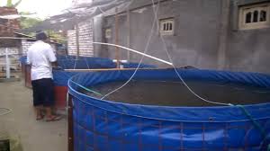 Jual Filter Air Dan Kolam Terpal Ikan Di Bekasi Hubungi 087878202527