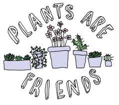 What you will receive in this instant download: Pin By Broken Souls On Plants Flowers Plants Are Friends Plants Art