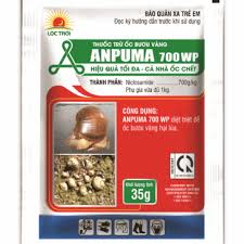 Anpuma 700WP
